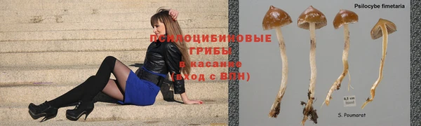 мяу мяу мука Володарск