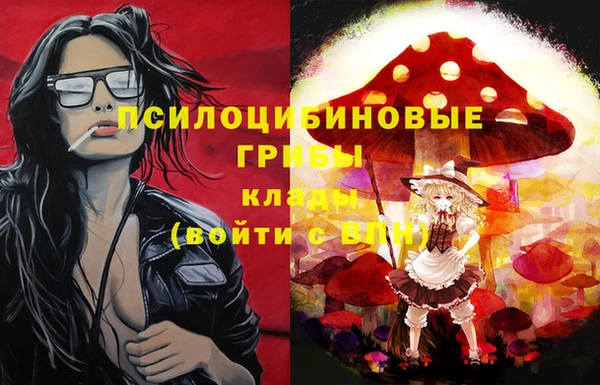 Альфа ПВП Волоколамск